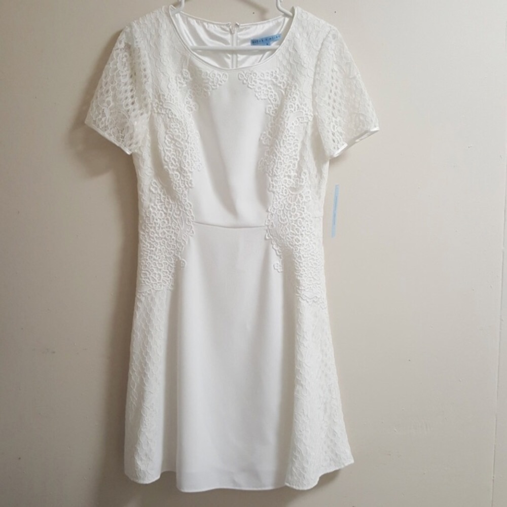 NEW Antonio Melani Ivory dress size 8